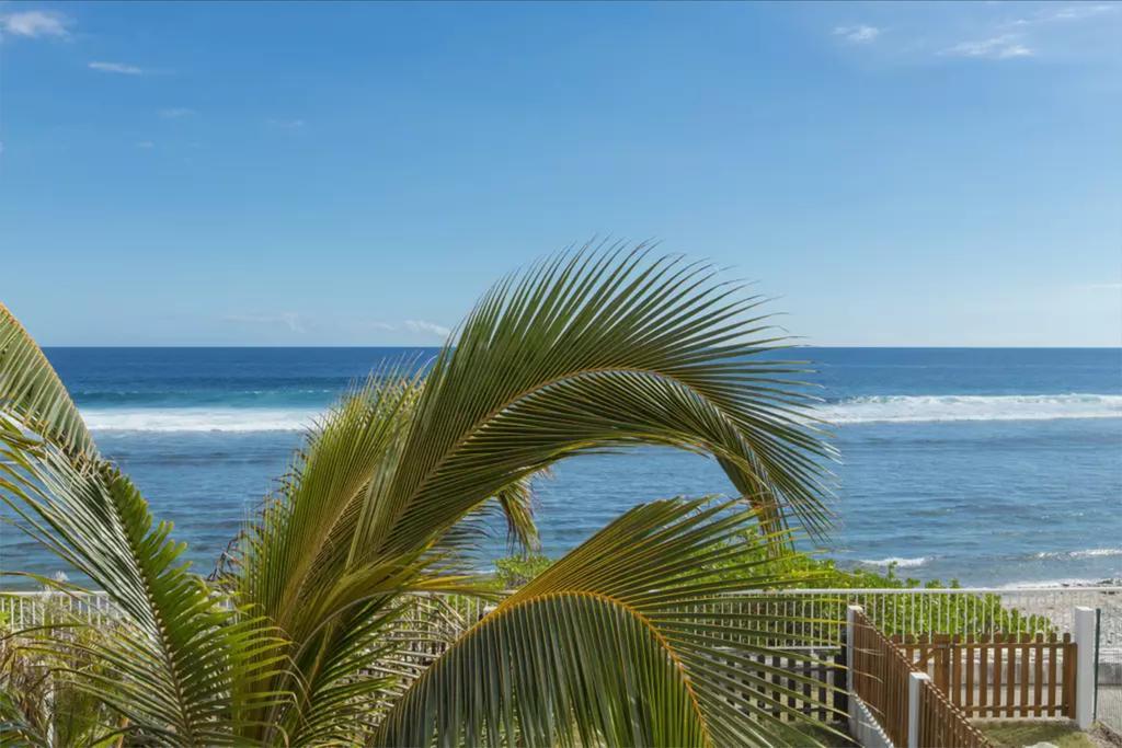 Le Petrel Blanc - Appartement Sur La Plage De La Souris Blanche Trois Bassins Экстерьер фото
